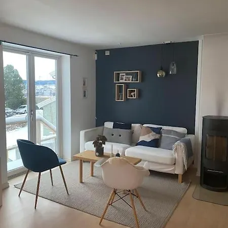 Sentrumsnaert, Flott Utsikt, Gratis Parkering Lejlighed Trondheim